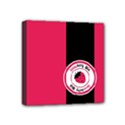 Brand Ribbon Black With Pink Mini Canvas 4  x 4  (Stretched) View1