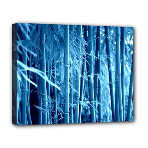 Blue Bamboo Deluxe Canvas 20  X 16  (framed) by Siebenhuehner