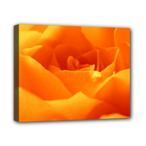 Rose Canvas 10  X 8  (framed) by Siebenhuehner