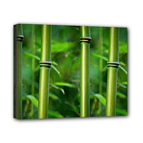 Bamboo Canvas 10  X 8  (framed) by Siebenhuehner
