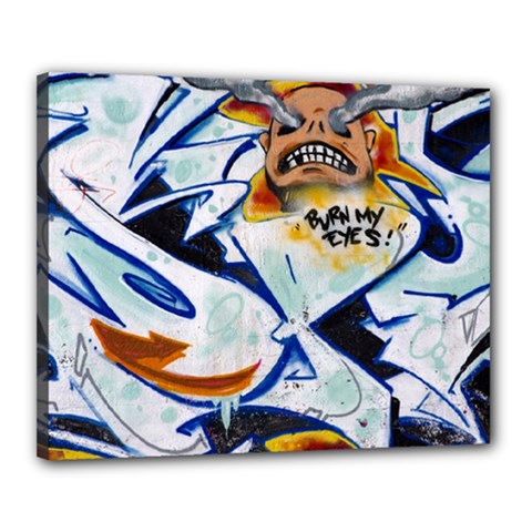 Graffity Canvas 20  X 16  (framed) by Siebenhuehner