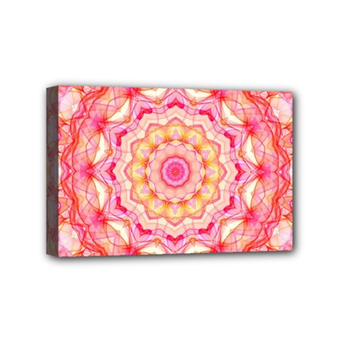 Yellow Pink Romance Mini Canvas 6  X 4  (framed) by Zandiepants
