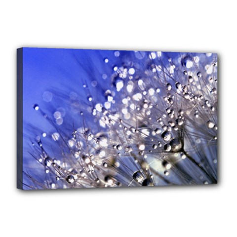 Dandelion 2015 0704 Canvas 18  X 12  by JAMFoto
