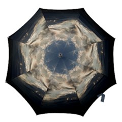 Heaven Rays Hook Handle Umbrellas (small) by trendistuff