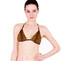 TIGER FUR Bikini Tops View1