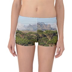 Socotra, Yemen Boyleg Bikini Bottoms by trendistuff