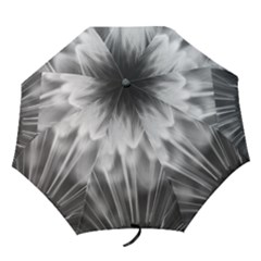 Dandelion Folding Umbrellas by trendistuff