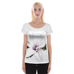 White Magnolia Pencil Drawing Art Women s Cap Sleeve Top by picsaspassion