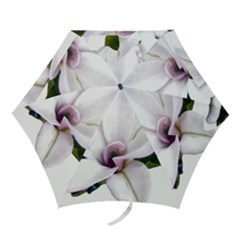 Magnolia Wit Aquarel Painting Art Mini Folding Umbrellas by picsaspassion