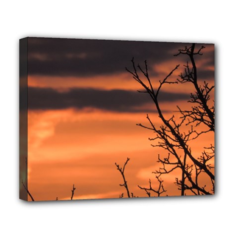 Tree Branches And Sunset Deluxe Canvas 20  X 16   by picsaspassion