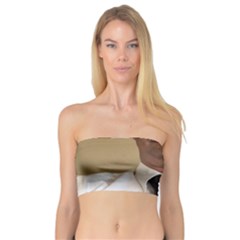 Received 1768317380115610 Bandeau Top by Evanstech73