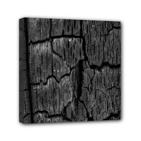 Coal Charred Tree Pore Black Mini Canvas 6  X 6  by Amaryn4rt
