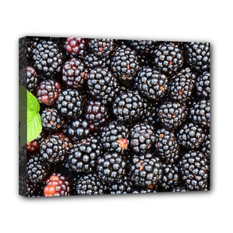 Blackberries Background Black Dark Deluxe Canvas 20  X 16   by Amaryn4rt