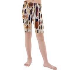 Insect Collection Kids  Mid Length Swim Shorts by Nexatart