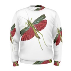 Grasshopper Insect Animal Isolated Men s Sweatshirt by Nexatart