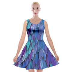 Blue Bird Feather Velvet Skater Dress by Brittlevirginclothing