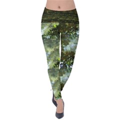 Ripples In The Water Waistband Velvet Leggings by SusanFranzblau