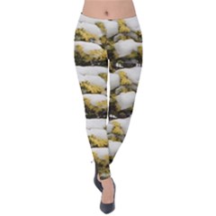 Snowy Shrub Velvet Leggings by SusanFranzblau