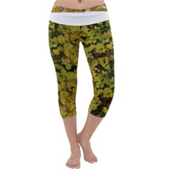 Yellow And Green Leaves Capri Yoga Leggings by SusanFranzblau