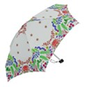 Holiday Festive Background With Space For Writing Mini Folding Umbrellas View2
