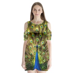 Peacock Bird Shoulder Cutout Velvet  One Piece by Simbadda