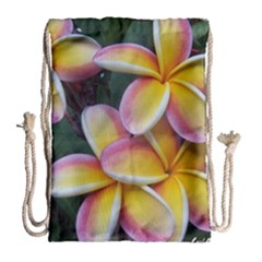Premier Mix Flower Drawstring Bag (large) by alohaA