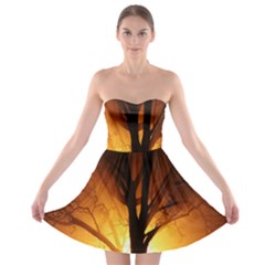Rays Of Light Tree In Fog At Night Strapless Bra Top Dress by Amaryn4rt