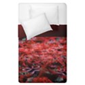 Red Fractal Valley In 3d Glass Frame Duvet Cover Double Side (Single Size) View2