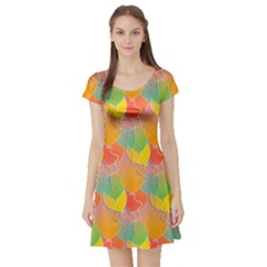 Birthday Balloons Short Sleeve Skater Dress by Nexatart