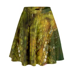 Dragonfly Dragonfly Wing Insect High Waist Skirt by Nexatart