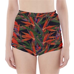 Bird Of Paradise High-waisted Bikini Bottoms by Valentinaart