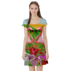 Flamingo Short Sleeve Skater Dress by Valentinaart