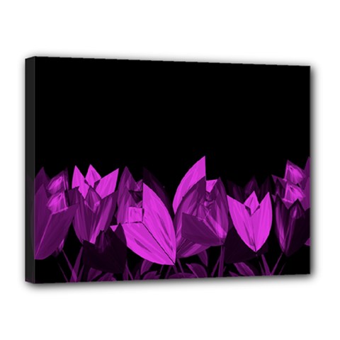Tulips Canvas 16  X 12  by ValentinaDesign