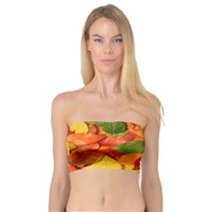 Leaves Texture Bandeau Top by BangZart