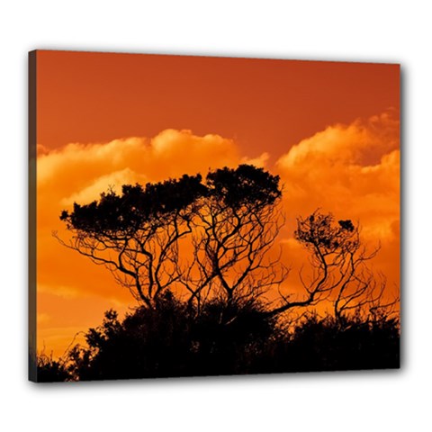 Trees Branches Sunset Sky Clouds Canvas 24  X 20  by Celenk