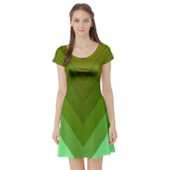 Tri 03 Short Sleeve Skater Dress by jumpercat