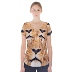 Africa African Animal Cat Close Up Short Sleeve Front Detail Top by BangZart