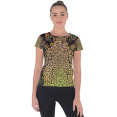 Peacock Feathers Wheel Plumage Short Sleeve Sports Top  by BangZart
