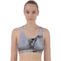 Horse Mammal White Horse Animal Back Weave Sports Bra View1