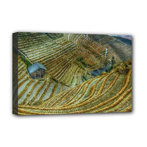 Rice Field China Asia Rice Rural Deluxe Canvas 18  X 12   by Celenk