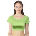 Minty Short Sleeve Crop Top View1
