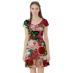 Rose Bushes Short Sleeve Skater Dress by snowwhitegirl