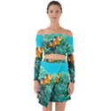 CLOWNFISH 3 Off Shoulder Top with Skirt Set View1