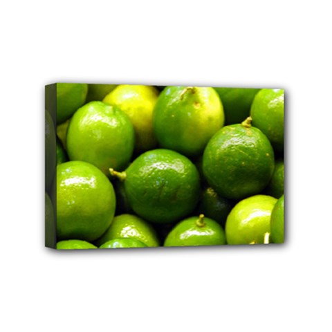 Limes 1 Mini Canvas 6  X 4  by trendistuff