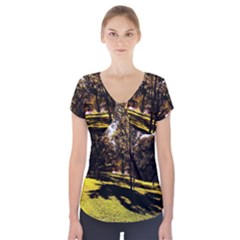 Highland Park 17 Short Sleeve Front Detail Top by bestdesignintheworld