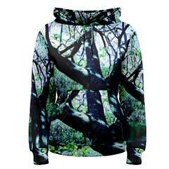Highland Park 11 Women s Pullover Hoodie by bestdesignintheworld