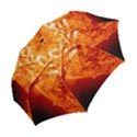 Spectacular Solar Prominence Folding Umbrellas View2