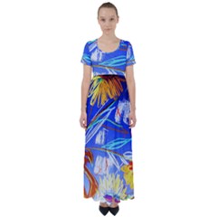 Dscf1385 - Sunflowers In Ceramic Jur High Waist Short Sleeve Maxi Dress by bestdesignintheworld
