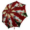 Dscf1676 - roxana an alexander Hook Handle Umbrellas (Medium) View2