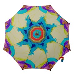 Dscf3229 - Kite In Brasil Hook Handle Umbrellas (small) by bestdesignintheworld